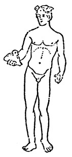 A black-and-white line drawing of the typical nude Mercury bronze Boucher is referencing. He is completely naked, holding out the purse in the open palm of His right hand. His hair, devoid of the petasus, sprouts the wings. Nothing is held in His left hand, which probably should have the caduceus which is so often lost.